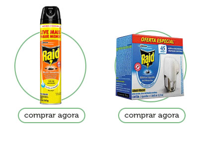 Raid inseticida