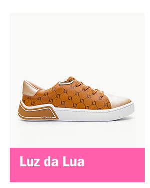Luz da lua