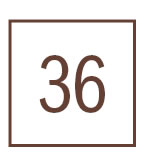 36
