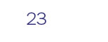 23
