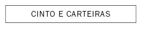 Cinto e Carteiras