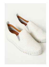 Tenis