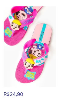 R$ 24,90