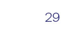 29