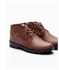 Bota