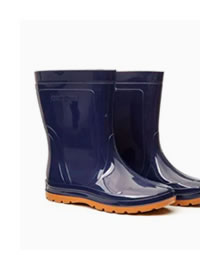 Bota