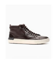 Bota