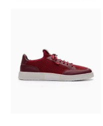Tenis