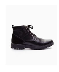 Bota