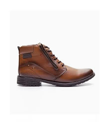 Bota