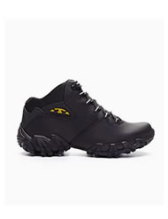 Bota