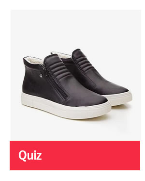 Quiz