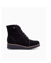Bota