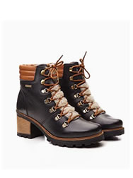 Bota