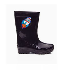 Bota