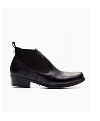 Bota