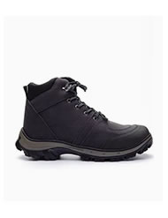 Bota