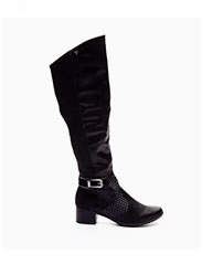 Bota