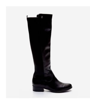 Bota
