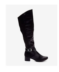 Bota