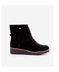 Bota