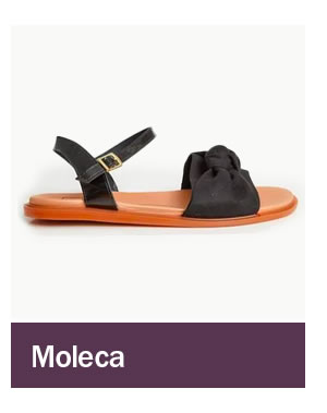 Moleca