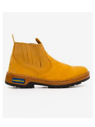 Bota