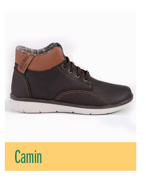 Camin