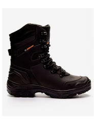 Bota