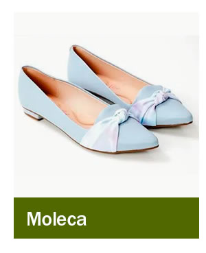 Moleca