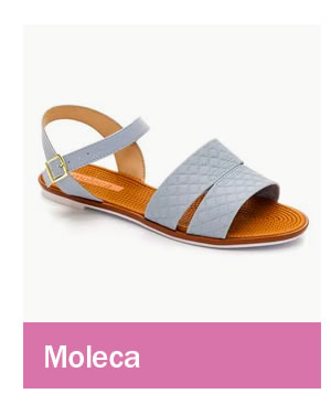 Moleca