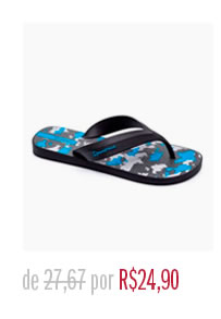 R$ 24,90