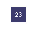 23