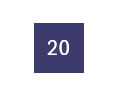 20