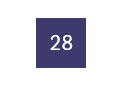 28