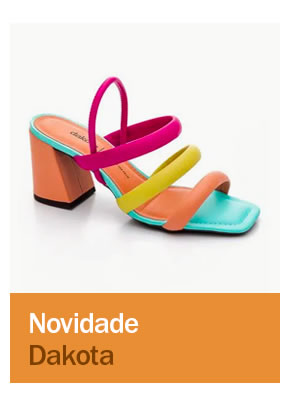 Dakota Novidades 
