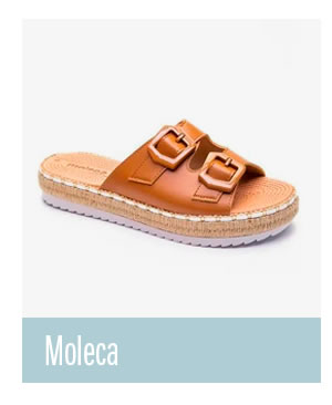 Moleca