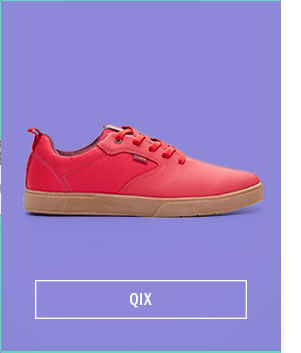 Qix