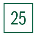 25