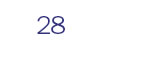 28