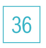 36