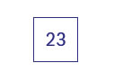23