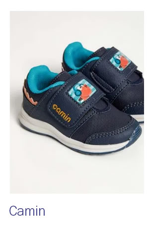 Camin